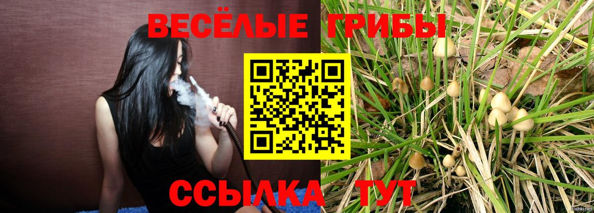 Жигулёвск  Галлюциногенные грибы Magic Shrooms  Вход с VPN  Галлюциногенные грибы мухоморы 